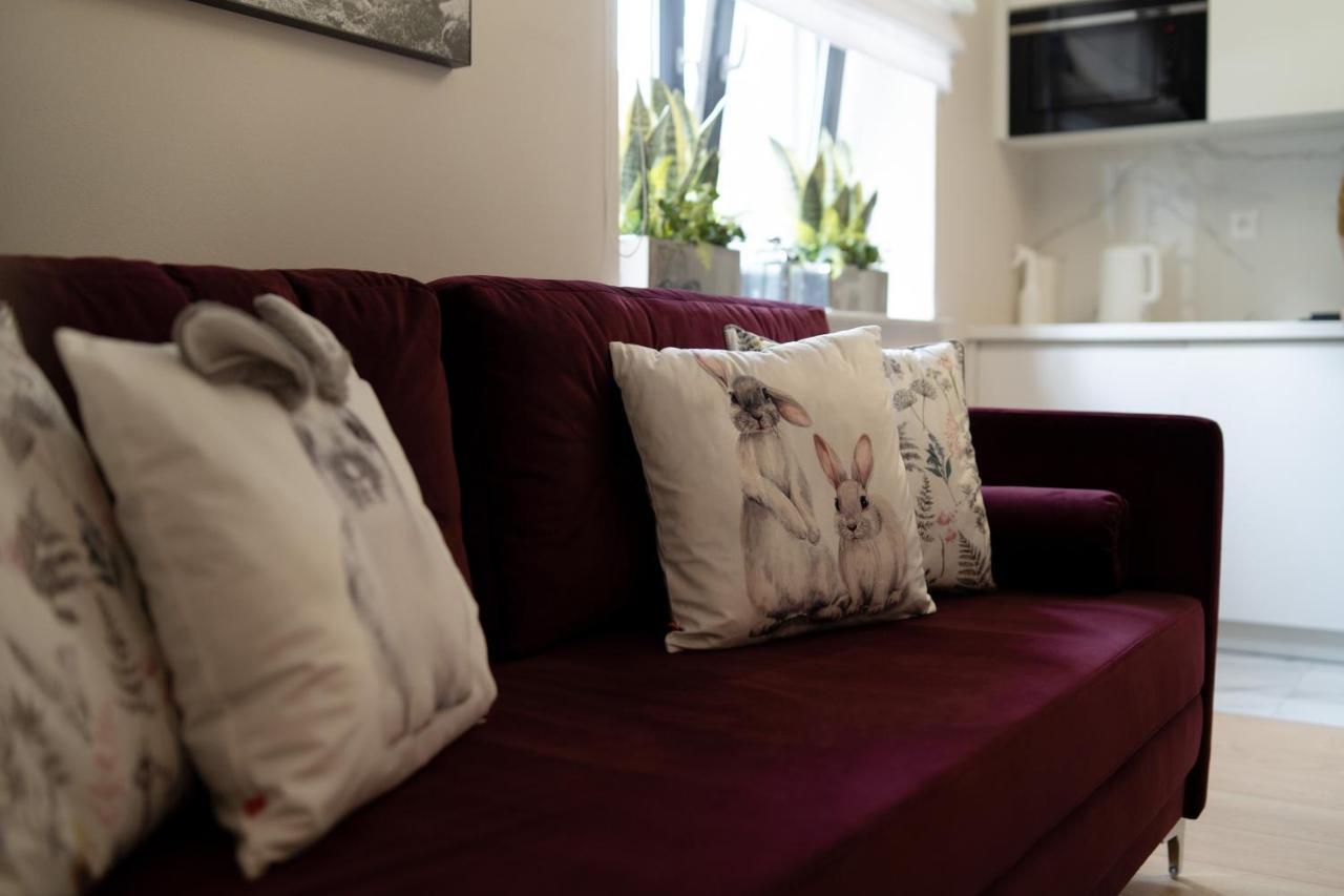 Altara Apartamenty Centrum - Free Parking Закопане Екстер'єр фото